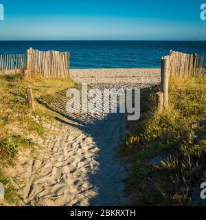 Frankreich, Morbihan, Sarzeau, Weg zum Strand Stockfoto