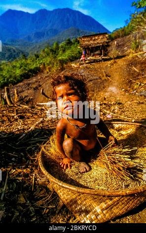 Indonesien, Sulawesi, Kolonodale, Morowali Nationalpark, Expedition zum Berg Wanas, Wana Kind in einer Lichtung, Ort der temporären Unterbringung Stockfoto