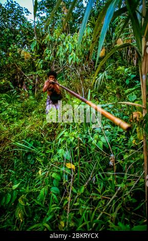 Indonesien, Sulawesi, Kolonodale, Morowali Nationalpark, Expedition zum Berg Wanas, der junge Wana und seine Pistole Stockfoto