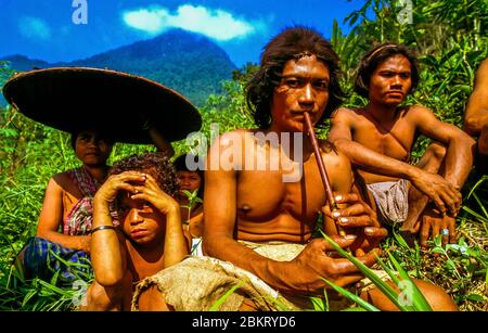 Indonesien, Sulawesi, Kolonodale, Morowali Nationalpark, Expedition zum Berg Wanas, Treffen mit einem isolierten Clan Stockfoto