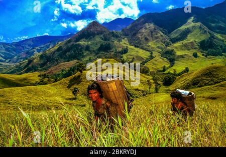 Indonesien, Sulawesi, Kolonodale, Morowali Nationalpark, Expedition zum Berg Wanas, porteurs sur les pentes du Gunung Tokala, ihr heiliger Berg Stockfoto