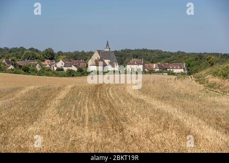 Frankreich, Indre et Loire, Loire-Tal, das von der UNESCO zum Weltkulturerbe erklärt wurde, Boussay Stockfoto