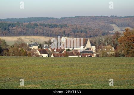 Frankreich, Indre et Loire, Loire-Tal, das von der UNESCO zum Weltkulturerbe erklärt wurde, Boussay Stockfoto