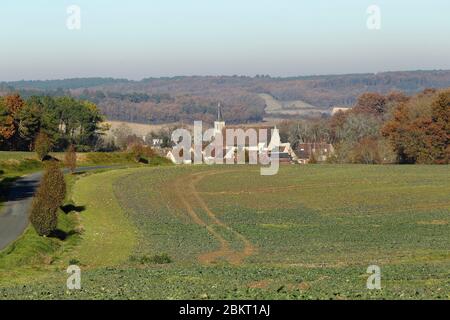 Frankreich, Indre et Loire, Loire-Tal, das von der UNESCO zum Weltkulturerbe erklärt wurde, Boussay Stockfoto