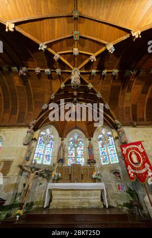 Frankreich, Cote d'Armor, Loc Envel, in der Kirche, das Gewölbe Stockfoto