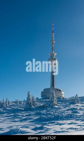 Praded Hügel mit gefrorenen kleinen Bäumen, Kommunikation Turm und Schnee in Jeseniky Berge in Tschechien während erstaunlich eisigen Wintertag mit Clea Stockfoto