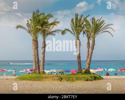 Palmen an einem belebten Strand von Urlaubern in La Herradura, Almuñecar. Provinz Granada, Andalusien Südspanien Stockfoto