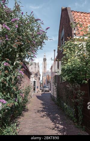 Eindruck des Kwakelsteeg in Edam mit dem Turm des Glockenspiels De Speeltoren im Hintergrund in den Niederlanden Stockfoto