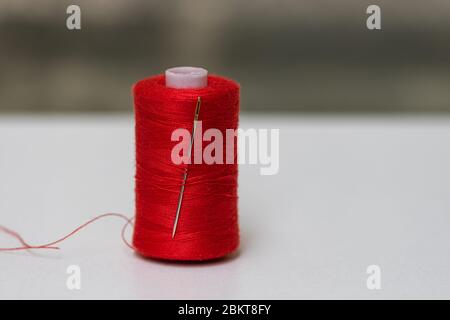 Rote Spule des Nähgarns isoliert, Nahaufnahme. Stockfoto