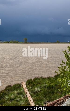 Ein sehr heftiger Sturm, der sich über dem Fraser River nahe Steveston in British Columbia Kanada nähert Stockfoto