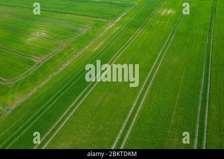 Luftaufnahme über die ländlichen Felder im Sommer Stockfoto