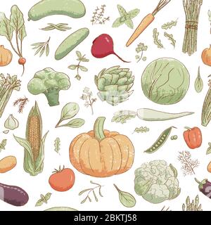 Handgezeichnete beliebte Cartoon Vintage-Stil Gemüse und coolinary Kräuter, Vektor nahtlose Muster Stock Vektor