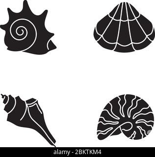 Verschiedene Muscheln schwarzen Glyphen Symbole auf weißen Raum gesetzt Stock Vektor