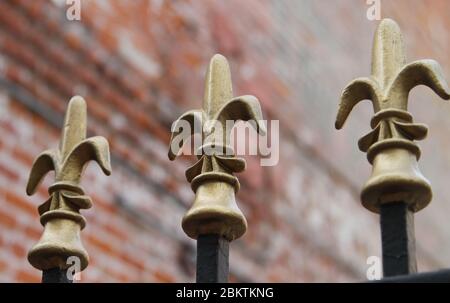 Eine Nahaufnahme eines eisernen Stabzauns mit goldenen Fleur De Lis Ornamenten auf der Oberseite. Aufgenommen in New Orleans. Stockfoto