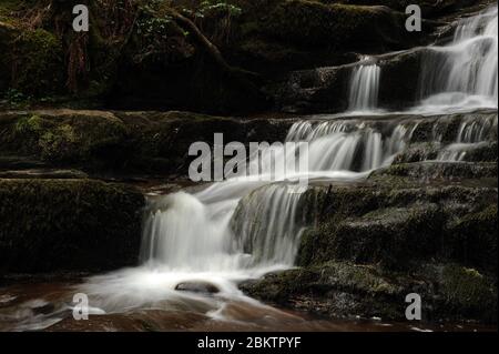 Kaskade auf Nant Bwrefwr, etwa auf halbem Weg zwischen dem Parkplatz und dem Afon Caerfanell. Stockfoto