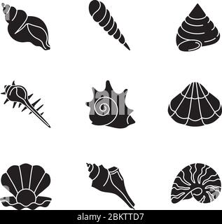Muscheln schwarze Glyphen Symbole auf weißem Raum gesetzt Stock Vektor