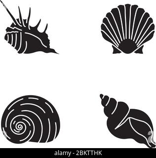 Exotische Muscheln schwarze Glyphen Symbole auf weißem Raum gesetzt Stock Vektor