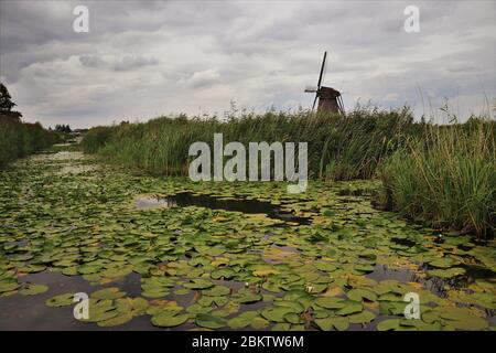 Historische traditionelle Windmühlen in Kinderdijk, Niederlande Stockfoto