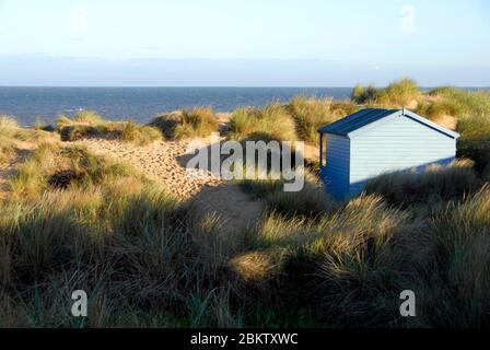 Eine einzige, blau gestrichene Strandhütte auf Sanddüne, Hunstanton, Norfolk, England. Stockfoto