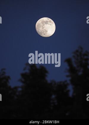 Sheerness, Kent, Großbritannien. Mai 2020. UK Wetter: Der zunehmende Gibbos Mond steigt in einen klaren Himmel über Sheerness, Kent. Quelle: James Bell/Alamy Live News Stockfoto