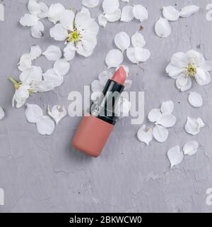 Kosmetikset auf grauem Frisiertisch. Draufsicht, Nahaufnahme. Lippenstift steht auf einem grauen Tisch mit weißen Blütenblättern Stockfoto