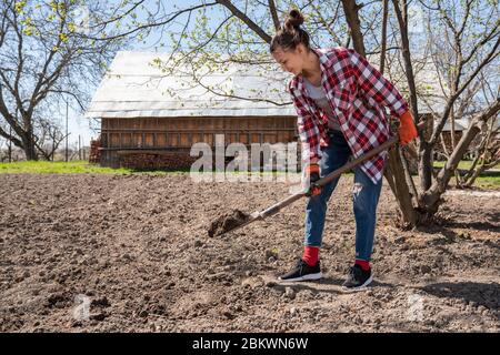 Junge Frau Bauer graben im Garten. Gartenarbeit im Frühling. Vorbereitung des Bodens für die Pflanzung. Stockfoto