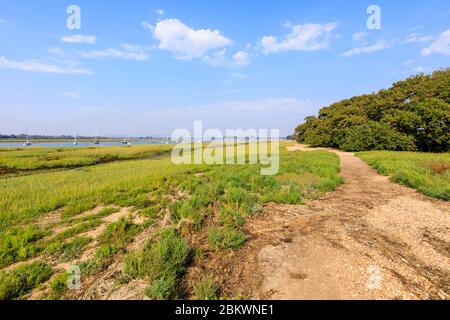 Fußweg an der Smugglers Lane und Fähre harte Gezeitengebiete im Salzmarsch bei Ebbe, Bosham, Chichester Harbour, West Sussex, Südküste Englands Stockfoto