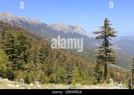 Berglandschaft auf dem berühmten Likya Yolu Touristenweg in der Türkei. Blick auf die Berge Stockfoto