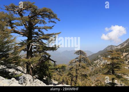 Schöne Berglandschaft auf dem berühmten Likya Yolu Touristenweg in der Türkei Stockfoto