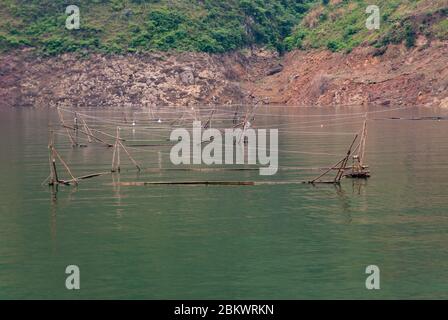 Wuchan, China - 7. Mai 2010: Dicui-Schlucht am Daning-Fluss. Nahaufnahme von Fischstäben in smaragdgrünem Wasser vor der braunen Steinküste mit grünem fol Stockfoto