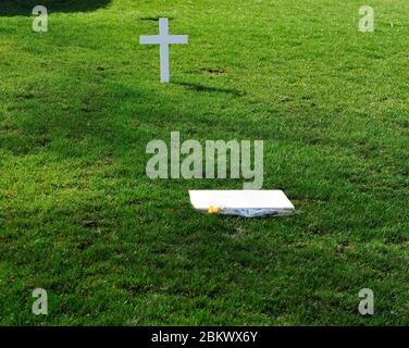 Grab des ehemaligen Senators der Vereinigten Staaten Edward M. 'Ted' Kennedy (Demokrat von Massachusetts) mit einer einzigen gelben Rose am Marmormarker auf dem Arlington National Cemetery in Arlington, Virginia am Mittwoch, 24. März 2010.Quelle: Ron Sachs / CNP (EINSCHRÄNKUNG: KEINE New York oder New Jersey Zeitungen oder Zeitungen im Umkreis von 75 Meilen von New York City) / MediaPunch Stockfoto