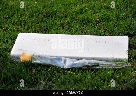 Grab des ehemaligen Senators der Vereinigten Staaten Edward M. 'Ted' Kennedy (Demokrat von Massachusetts) mit einer einzigen gelben Rose am Marmormarker auf dem Arlington National Cemetery in Arlington, Virginia am Mittwoch, 24. März 2010.Quelle: Ron Sachs / CNP (EINSCHRÄNKUNG: KEINE New York oder New Jersey Zeitungen oder Zeitungen im Umkreis von 75 Meilen von New York City) / MediaPunch Stockfoto