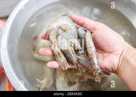 Rohe Garnelen Garnelen / frische Garnelen in der Hand zum Kochen von Meeresfrüchten Stockfoto