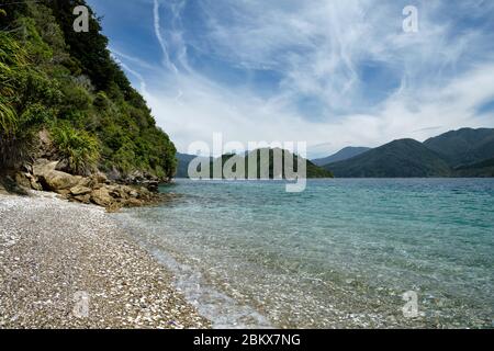 Tawhitinui Island, Elaine Bay, Marlborough Sounds. Stockfoto