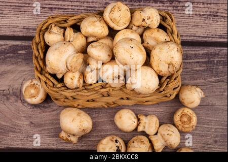 Junge Pilze in einem Korbkorb und Pilze auf einem hölzernen Hintergrund verstreut. Nahaufnahme Stockfoto