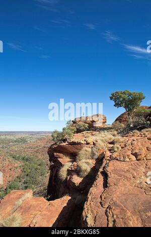 Wanderer am Cotterills Lookout in Kings Canyon von der Nordwand, Northern Territory, Australien Stockfoto