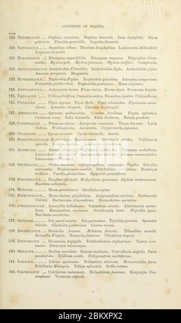 Illustrationen der natürlichen Ordnungen von Pflanzen mit Gruppen und Beschreibungen Stockfoto