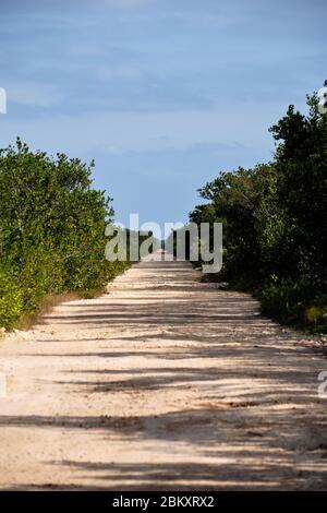 Lange, gerade Feldweg mit grüner Vegetation auf beiden Seiten Stockfoto