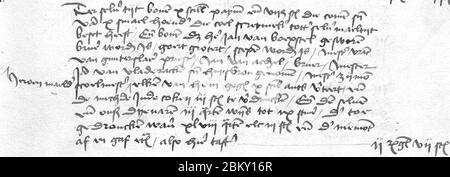 ILVB Register 1485-1495 fol 95r line 21-31. Stockfoto