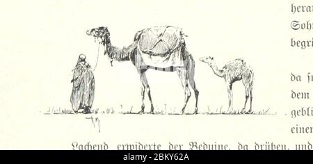 Bild aufgenommen von Seite 206 von 'Pilgerritt. Bilder aus Palästina und Syrien ... Mit Illustrationen von R. Mainella' (11136090096). Stockfoto