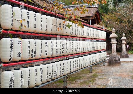 KYOTO, JAPAN - 17. OKTOBER 2019: Der Blick auf Hunderte traditionelle weiße Papierhellungen (Chochin) am Hirano-Schrein. Kyoto. Japan Stockfoto