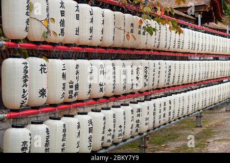 KYOTO, JAPAN - 17. OKTOBER 2019: Der Blick auf Hunderte traditionelle weiße Papierhellungen (Chochin) am Hirano-Schrein. Kyoto. Japan Stockfoto