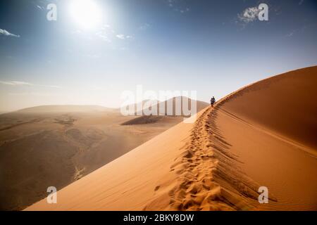 Düne 45 in der Namib Wüste. Morgensonne. Sossusvlei, Namibia. Afrika. Orangefarbene Sanddünen. Blauer Himmel. Blick auf weitere Dünen. Stockfoto