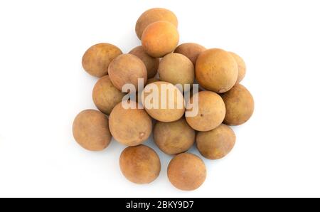 Sapodilla Chikoo oder Obst auf weißem Hintergrund Stockfoto