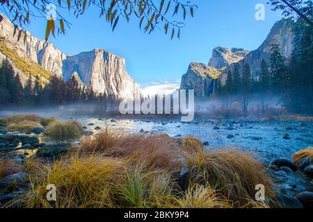 Herbstfarbe im Yosemite Nationalpark Stockfoto