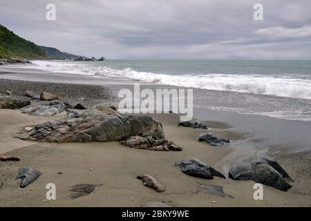 Motukiekie Beach an einem bewölkten Tag, Westküste, Südinsel, Neuseeland. Stockfoto