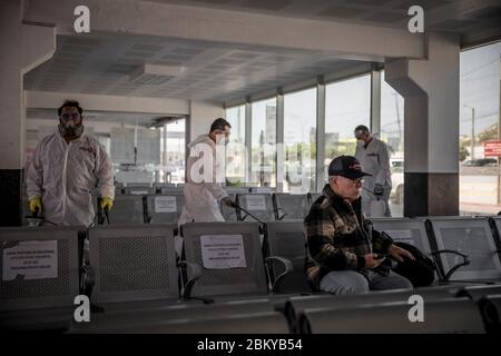 Tijuana, Mexiko. Mai 2020. Mitglieder der Gruppe 'Covid Busters' führen Desinfektionsmaßnahmen gegen die Ausbreitung von Covid-19 an einem Busbahnhof durch. Die Gruppe hat den Namen "Ghostbusters" aus den US-Filmen übernommen und plant, Orte in der an die USA angrenzenden Stadt zu desinfizieren, wo sich viele Menschen versammeln. Die Männer nehmen kein Geld für diese Arbeit. Es sind Bürger, Freunde und Familienväter, die diesen Dienst aus Liebe und Fürsorge für ihre Stadt tun, wie sie auf Facebook schreiben. Quelle: Omar Martínez/dpa/Alamy Live News Stockfoto