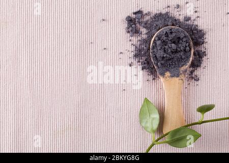 matcha blauen Tee Pulver in Holz Löffel auf rosa Hintergrund mit grünen Blättern. Draufsicht kopieren Raum gesunde Ernährung Konzept Stockfoto