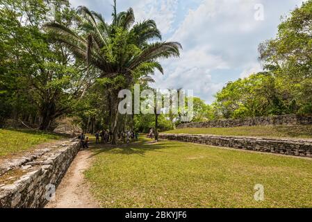 Kohunlich, Mexiko - 25. April 2019: Eine Gruppe von Touristen besucht das Stadion der alten Maya-Stadt Kohunlich in Quintana Roo, Yucatan Halbinsel Stockfoto