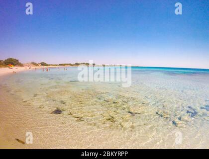 Wunderschöner Sandstrand mit transparentem kristallklarem Wasser im Sommer in Salento, Apulien, Italien Stockfoto